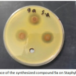 Figure 3: influence of the synthesized compound 9a on Staphylococcus aureus.