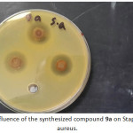 Figure 4: influence of the synthesized compound 9a on Staphylococcus aureus.