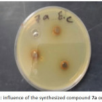 Figure 5: influence of the synthesized compound 7a on E.coli.