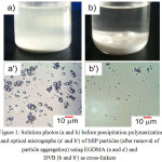 Figure 1: Solution photos (a and b) before precipitation polymerization and optical micrographs (a' and b') of MIP particles (after removal of particle aggregation) using EGDMA (a and a') and DVB (b and b') as cross-linkers