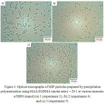 Figure 3:Optical micrographs of MIP particles prepared by precipitation polymerization using MAA:EGDMA (molar ratio) = 20:1 at various amounts of BPO (mmol):(a) 1 (experiment 3), (b) 2 (experiment 4) and (c) 3 (experiment 5)