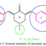 Figure 5: General structure of curcumin analogue