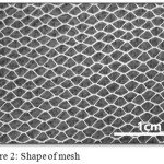 Figure 2: shape of mesh