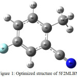 Figure 1: Optimized structure of 5F2MLBN.