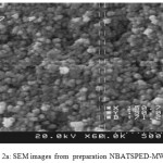 Figure 2a: SEM images from  preparation NBATSPED-MWCNT.