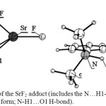 Figure 2: The structures of the SrF2 adduct (includes the N…H1-O1 H-bond) and YF3 adduct (in the Zwitterion form; N-H1…O1 H-bond).