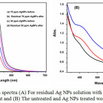 Figure 3: UV–vis spectra (A) For residual Ag NPs solution with before and after treatment and (B) The untreated and Ag NPs treated wool fabrics.