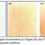 Figure 4: Photographs of untreated (A) 35ppm (B) and 70ppm (C) Ag-NPs under optimized condition