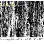 Figure 4: The SEM micrograph for mild steel in 1.0 M HCl at 30°C for 5 h as immersion time.