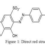 Figure 1: Direct red structure