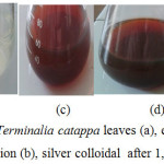 Figure 1: The extracts of Terminalia catappa leaves (a), extracts of leaves + AgNO3 solution + PVA solution (b), silver colloidal  after 1, 3, and 4 days (c, d, and e)