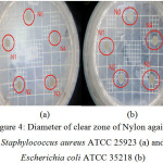 Figure 4: Diameter of clear zone of Nylon against Staphylococcus aureus ATCC 25923 (a) and Escherichia coli ATCC 35218 (b)