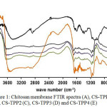 Figure 1: Chitosan membrane FTIR spectra (A), CS-TPP1 (B), CS-TPP2 (C), CS-TPP3 (D) and CS-TPP4 (E)