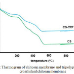 Figure 2: Thermogram of chitosan membrane and tripolyphosphate crosslinked chitosan membrane