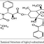 Figure: 1.4: Chemical Structure of tigloyl-cabazitaxel (CBZN09)