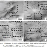 Figure 5: TEM images for (a) PLA/PBAT/Na-MMT, (b) PLA/PBAT/ODA-MMT, (c) PLA/PBAT/DDOA-MMT and (d) PLA/PBAT/C20A nanocomposite