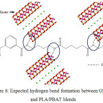 Figure 8: Expected hydrogen bond formation between OMMT and PLA/PBAT blends