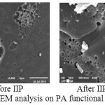 Figure 6: SEM analysis on PA functional polymer