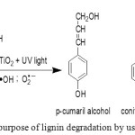 Figure 3: Mechanism purpose of lignin degradation by using TiO2 photocatalyst