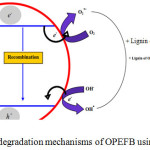 Figure 5: Lignin degradation mechanisms of OPEFB using TiO2 photocatalyst.