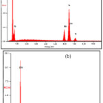 Figure 3: EDX Spectra of MnFe2O4 (a) and NMn-3 (b)