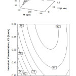 Figure 1: Surface and contour plot of oil recovery, Y (%), as function of inoculum concentration, X2 (% w/v) and stirring speed, X1 (rpm) at fermentation time, X3 = 16 h