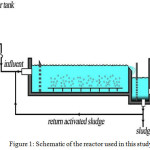 Figure 1: Schematic of the reactor used in this study
