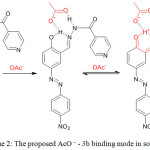 Scheme 2: The proposed AcO – - 3b binding mode in solution.
