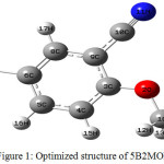 Figure 1: Optimized structure of 5B2MOBN.