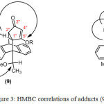 Figure 3: HMBC correlations of adducts (9) and (10) 