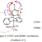 Figure 4: COSY and HMBC correlations of adducts (11)