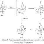 Scheme 3: Transformation into enolate anion and protection of the hydroxy group of adduct (8c) 