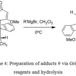 Scheme 4: Preparation of adducts 9 via Grignard reagents and hydrolysis 