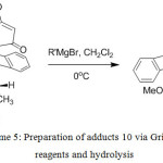 Scheme 5: Preparation of adducts 10 via Grignard reagents and hydrolysis