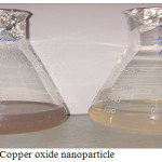 Figure 1: formation Copper oxide nanoparticle
