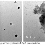 Figure 3: SEM image of the synthesized CuO nanoparticles