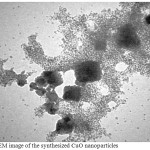 Figure 4: TEM image of the synthesized CuO nanoparticles
