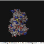 Figure 1: Enfolding of molecule 6b in the active site pocket of Aurora Kinase
