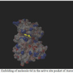Figure 1: Enfolding of molecule 6d in the active site pocket of Aurora Kinase 