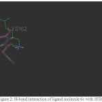 Figure 2: H-bond interaction of ligand molecule 6c with 3FDN