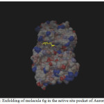 Figure 1: Enfolding of molecule 6g in the active site pocket of Aurora Kinase