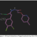 Figure 2: H-bond interaction of ligand molecule 6g with 3FDN