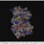 Figure 1: Enfolding of molecules 8h in the active site pocket of Aurora Kinase