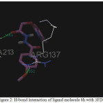 Figure 2: H-bond interaction of ligand molecule 8h with 3FDN