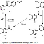 Figure 1: Synthesis scheme of compound 4 and 5