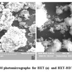 Fig.2 :SEM photomicrographs for BXT (a)  and BXT-HDTMA (b) 
