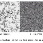 Fig. 1. Microstructure of rust on steel grade 3 in an industrial atmosphere