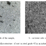 Fig.  2. Microstructure of rust on steel grade 45 in an industrial atmosphere
