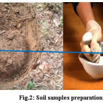 Fig.2: Soil samples preparation