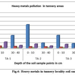 Fig.4: Heavy metals in tannery locality soil samples